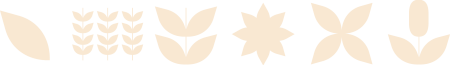 justoats-graphic-01.png justoats-graphic-01.png
